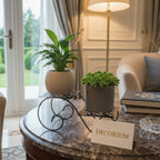 2 Layer Plant Pot Flowers Stand