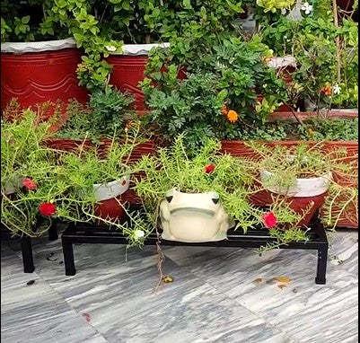 Compact Single layer Multipurpose stand for cans and planters