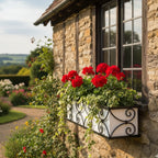 Fancy Wall Hanging Planter