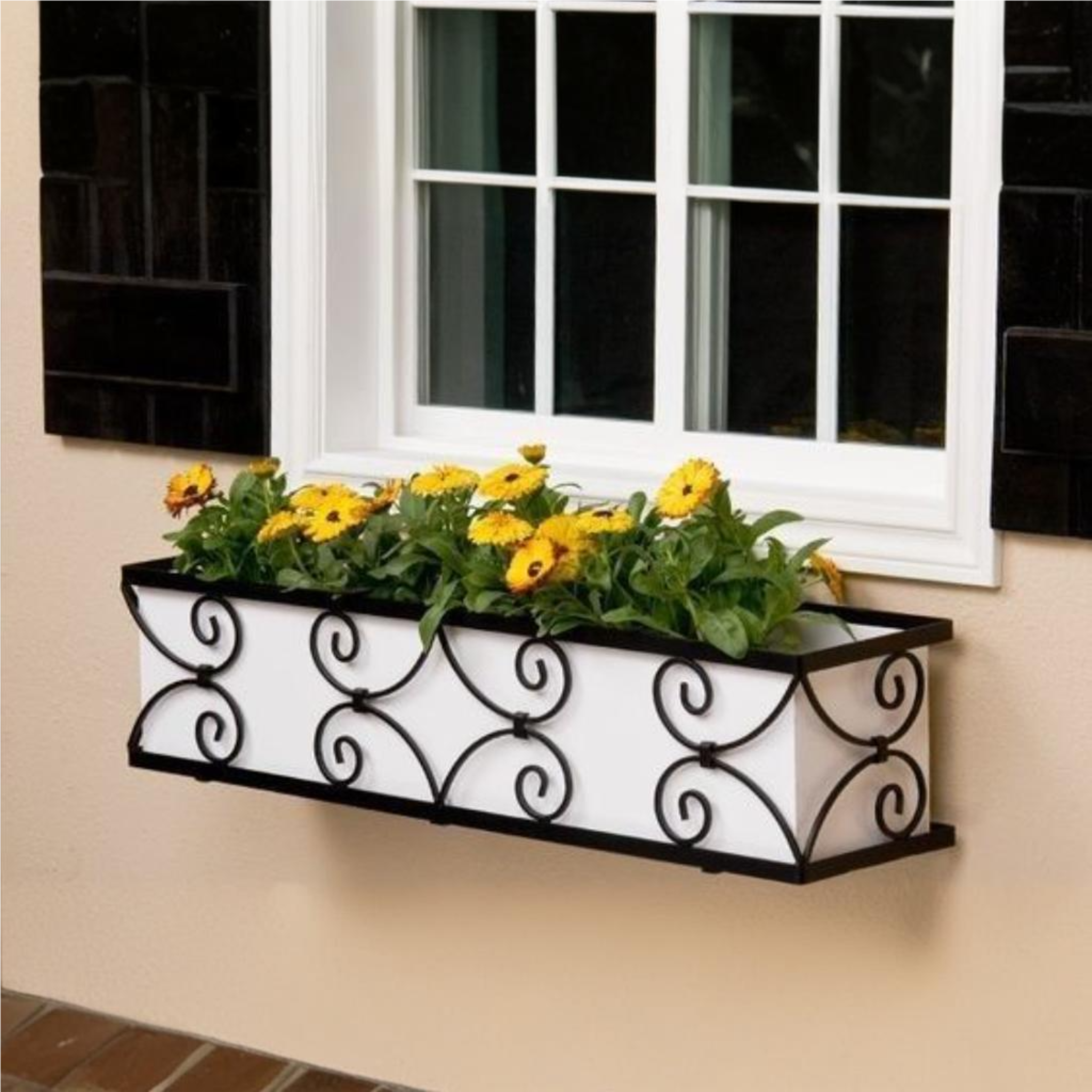 Fancy Wall Hanging Planter