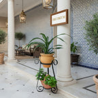 Dual Pot  Heavy Planter Stand