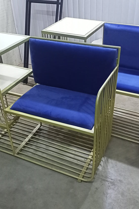 Metal shoe rack with velvet cushions