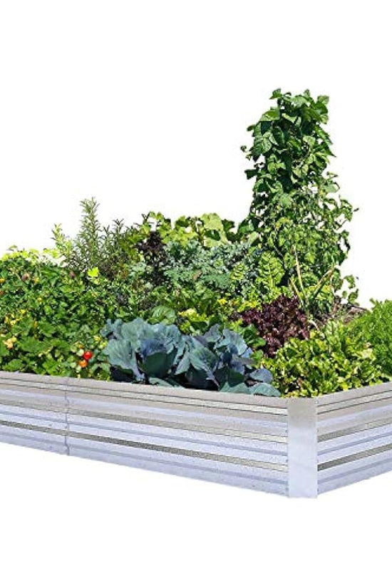 Metal Raised galvanized Bed 6x3x1