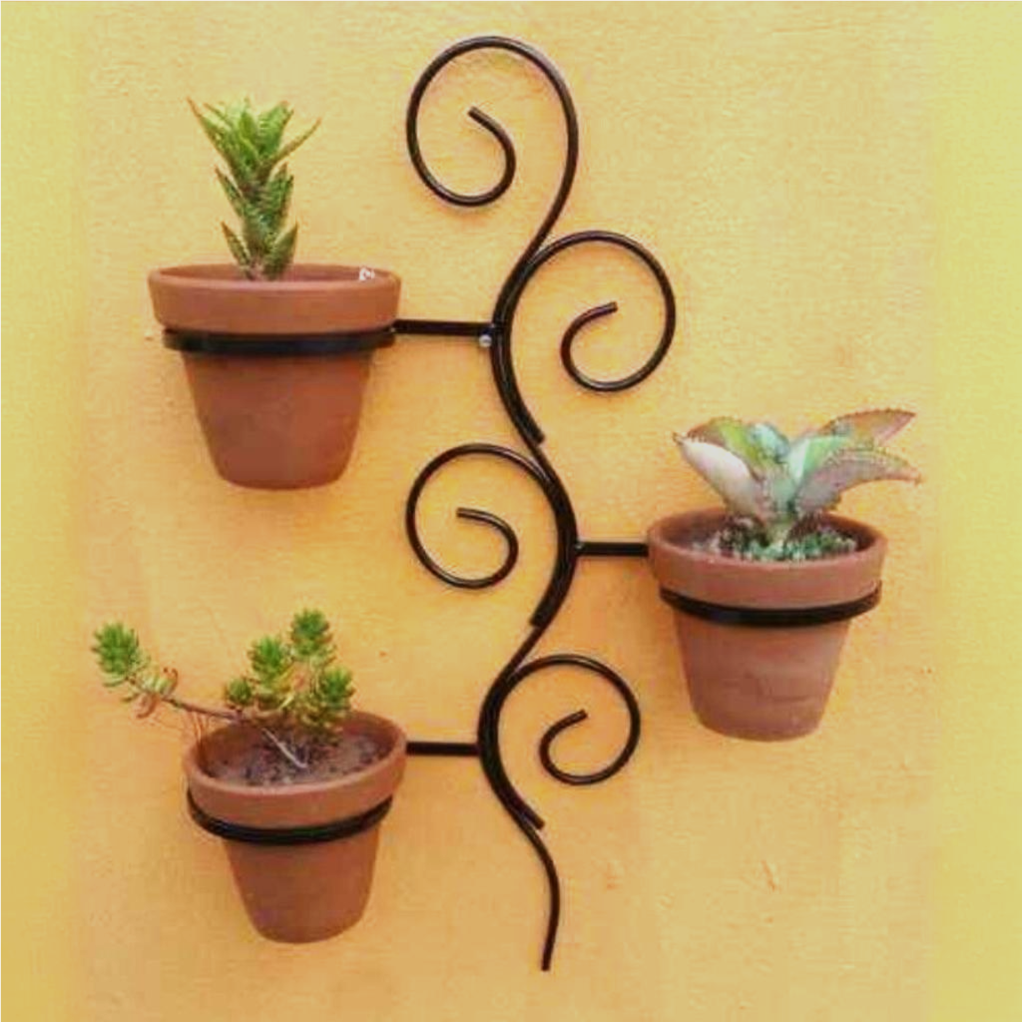 Curl Tri-Pot Hanger
