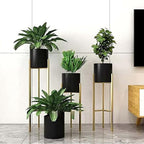 Elegant Planter Stands