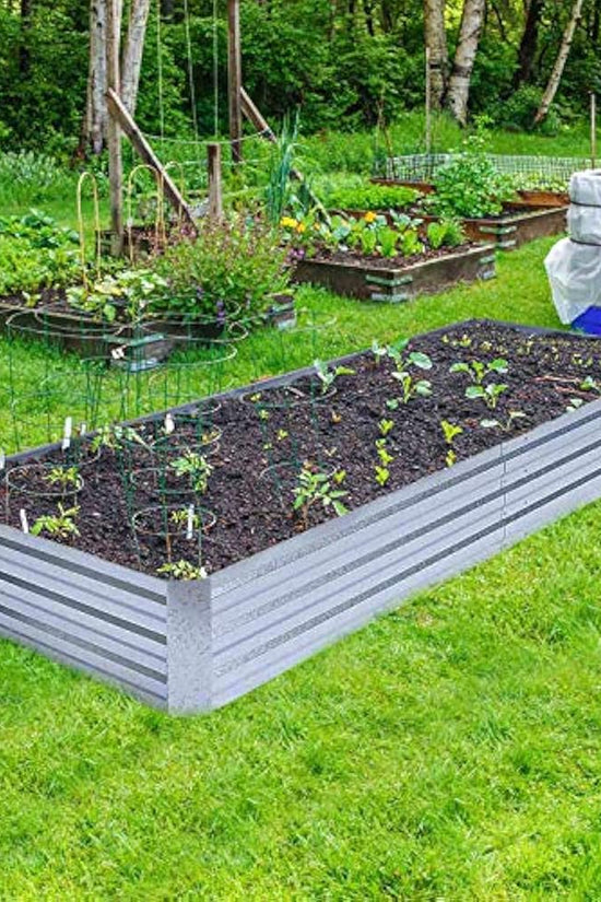 Metal Raised galvanized Bed 6x3x1