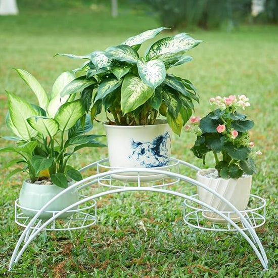 Bridge Planter v1