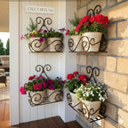 Wall-Mounted Planter Shelves
