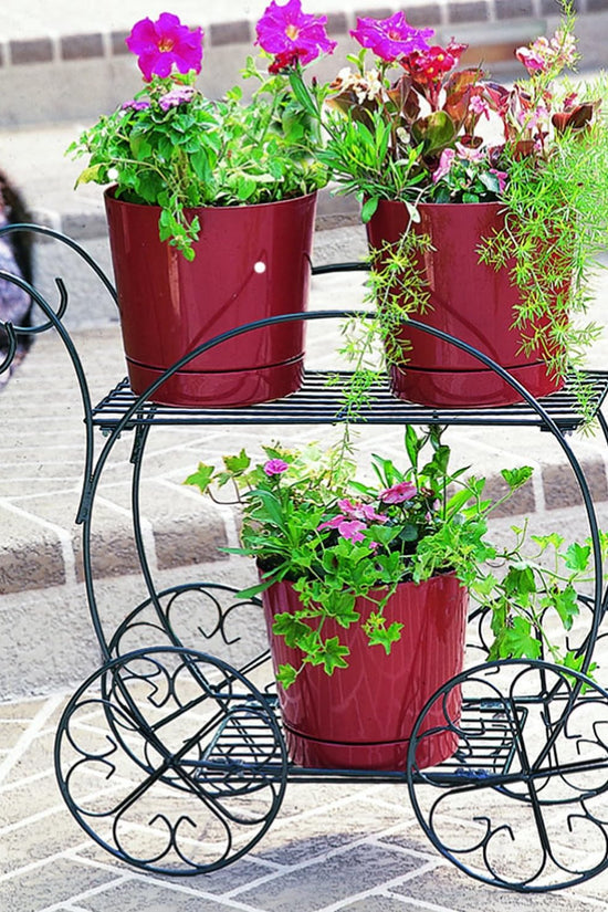 Flower Cart v9  Hot demanded