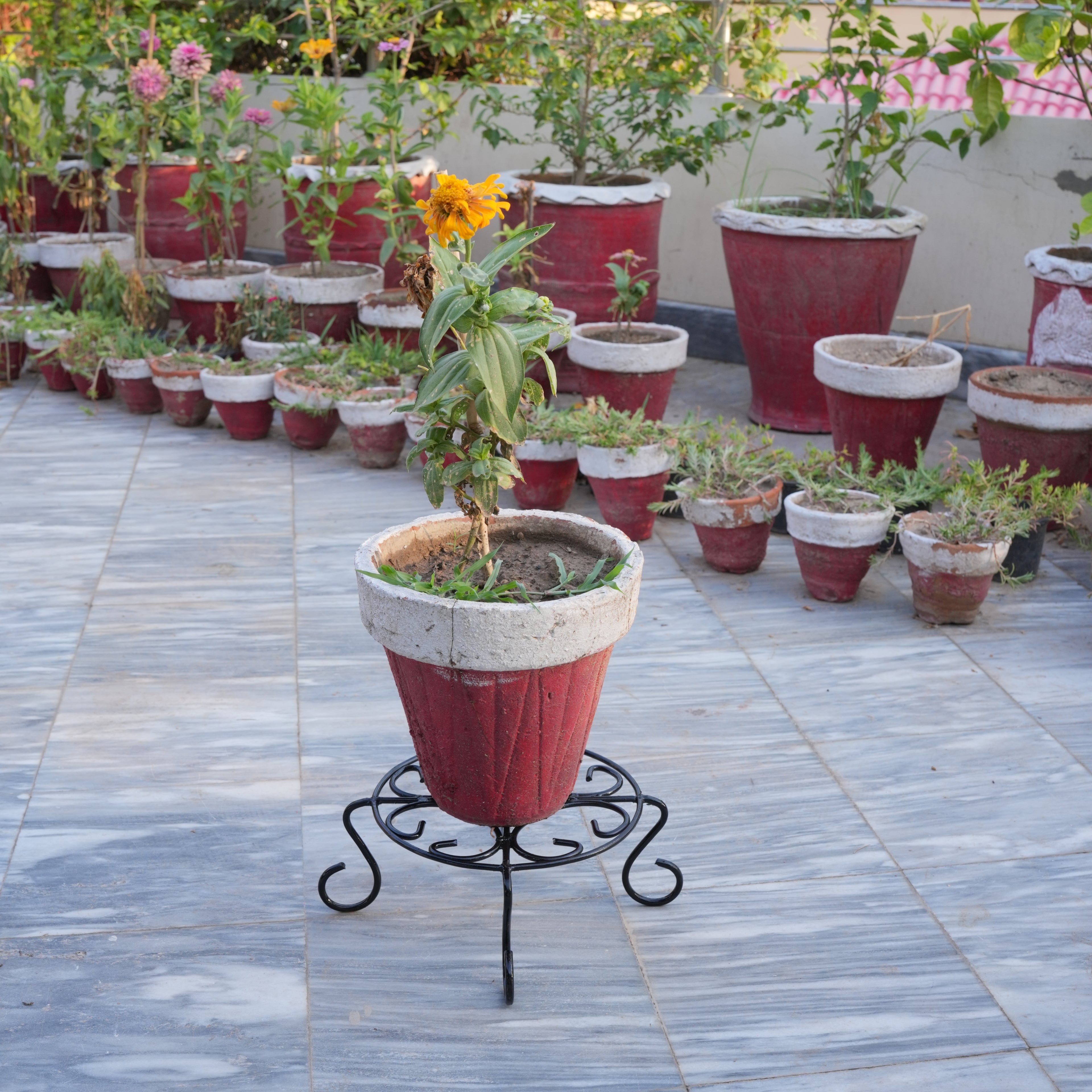 Fancy Planter Stand