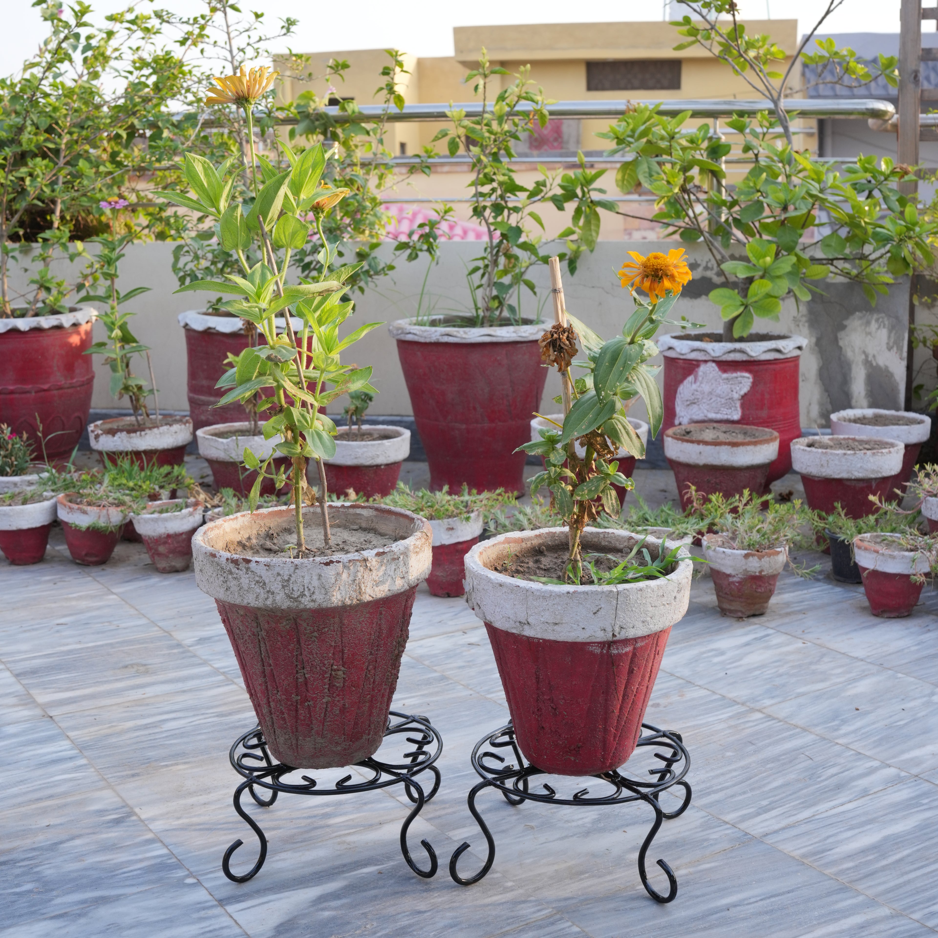 Fancy Planter Stand