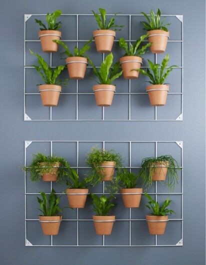 8 Pots Hanging fence Top 15