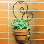 Single Pot S-Shape Wall Hanger